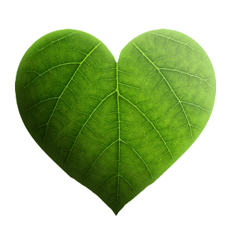 Testing for fuel consumption and CO2 emissions